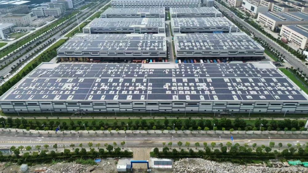 1775809259337183.jpg 1000.jpg